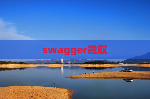 swagger截取